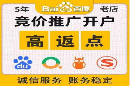 竞价排名优化策略案例分析